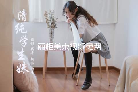 丽柜美束视频免费